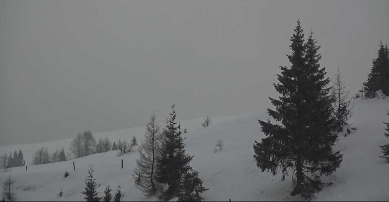 Webcam Сан-Мартино-ди-Кастроцца - Пассо-Ролле - Passo Rolle - Bocche