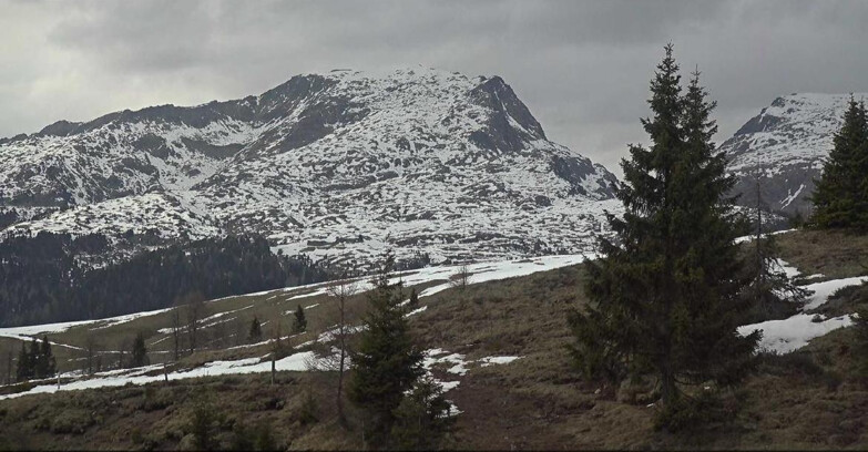 Webcam Сан-Мартино-ди-Кастроцца - Пассо-Ролле - Passo Rolle - Bocche