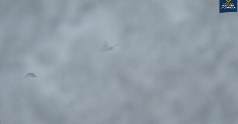 Webcam Madonna di Campiglio - Campiglio Dolomiti di Brenta