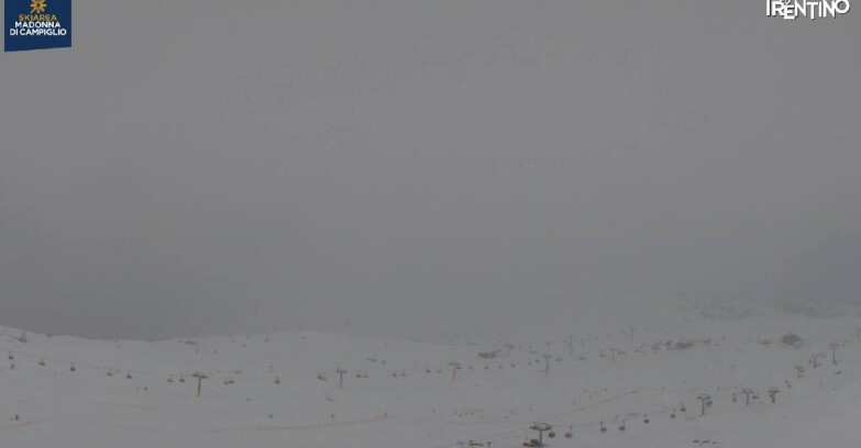 Webcam Madonna di Campiglio - Grostè Area