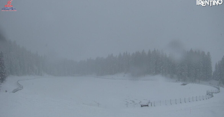 Webcam Madonna di Campiglio - Lago Montagnoli
