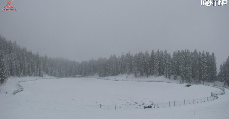 Webcam Madonna di Campiglio - Lago Montagnoli